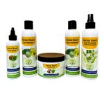 Herbal Boost – Shampoo, Conditioner, Serum, Styling Cream, Heat Protection – 8 Oz